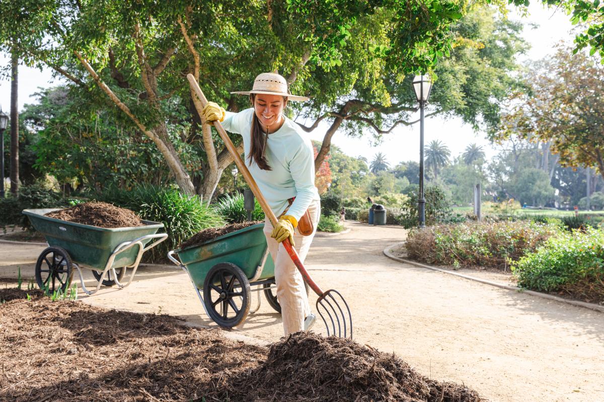 Volunteer smiles while spreading mulch in Alice Keck Park Memorial Garden