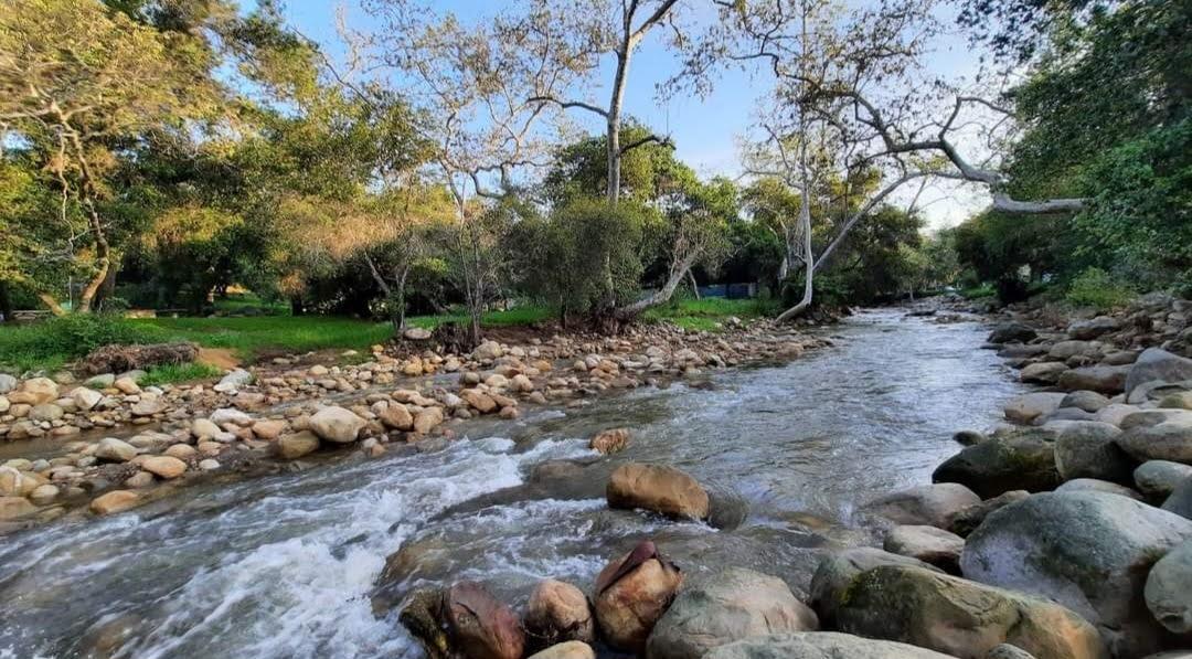 Image of Mission Creek at Oak Park