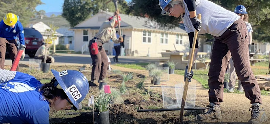 Watershed Stewards Program members install plants at a restoration site